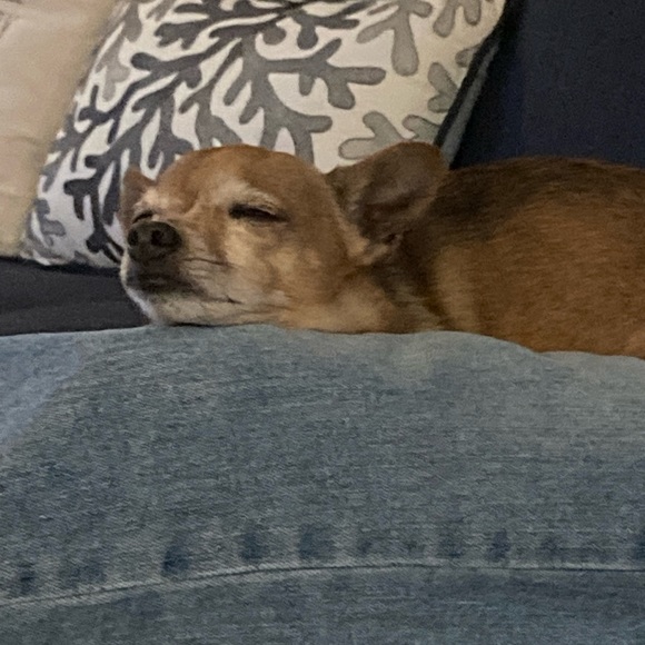 Meet your Posher, Janelle aka bohemiansales - Picture 6 of 15